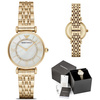 ZEGAREK DAMSKI EMPORIO ARMANI AR1907 - CLASSIC (zi501c)