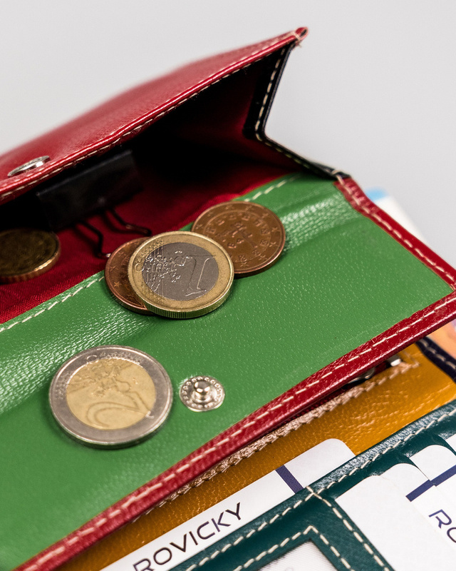 Skórzany damski portfel Rovicky R-RD-02-GCL-Q