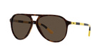Okulary RALPH LAUREN PH4173-500373. Okulary przeciwsłoneczne, Kolor brązowy. Mężczyzna.