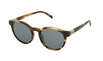 Okulary TOUS STOB89-5109RS. Okulary przeciwsłoneczne, Kolor brązowy. Kobieta.