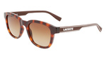 Okulary LACOSTE L966S-230. Okulary przeciwsłoneczne, Kolor havana. Mężczyzna.