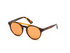 Okulary WEB EYEWEAR WE0262-5156J. Okulary przeciwsłoneczne, Kolor brązowy. Unisex.