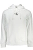 Bluza