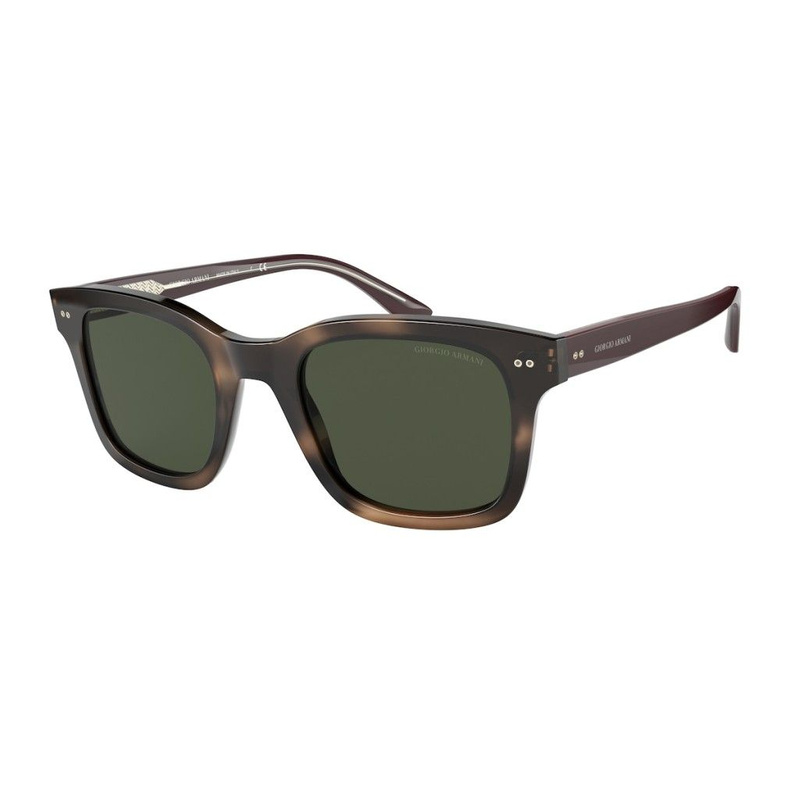Okulary GIORGIO ARMANI AR8138-573431. Okulary przeciwsłoneczne, Kolor brązowy. Mężczyzna.