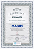 Zegarek Casio Retro Vintage A100WEF-3AEF (zd640c)