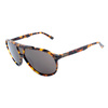 Okulary REPLAY RY-50002. Okulary przeciwsłoneczne, Kolor TORTOISESHELL. Unisex.