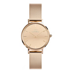 Damski zegarek DANIEL WELLINGTON DW00100795