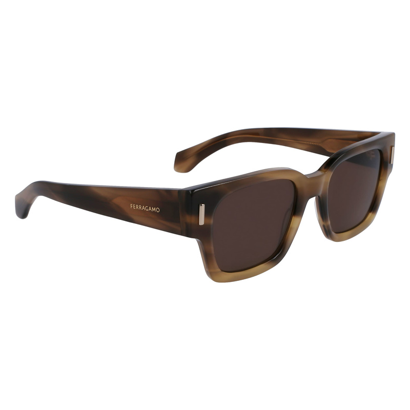 Okulary FERRAGAMO SF2010S-319. Okulary przeciwsłoneczne, Kolor brązowy. Mężczyzna.