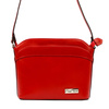 czerwony || Red