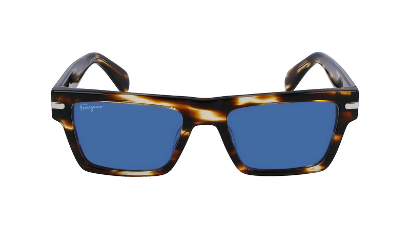 Okulary FERRAGAMO SF1086S541921. Okulary przeciwsłoneczne, Kolor brązowy. Mężczyzna.