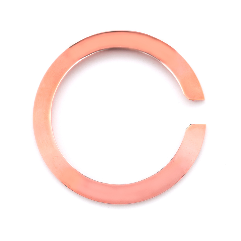 Zegarek GLAM ROCK GC3044CR. BEZEL, Kolor . Unisex.