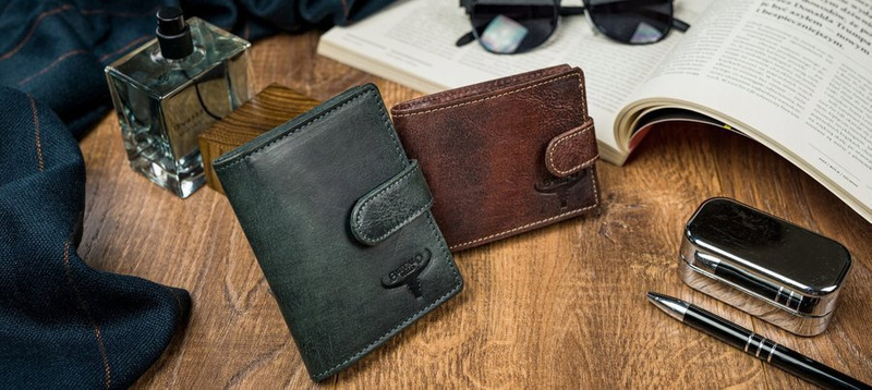 Męski portfel etui na karty banknoty Buffalo Wild