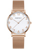 ZEGAREK DAMSKI PERFECT F342-08 (zp514e) + BOX
