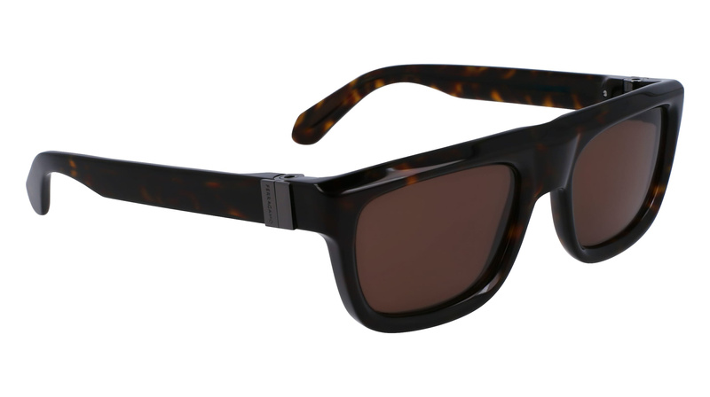 Okulary FERRAGAMO SF2009S-242. Okulary przeciwsłoneczne, Kolor brązowy. Mężczyzna.