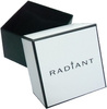 Zegarek RADIANT RA542202. Kwarcowy, Kolor srebrny. Kobieta.
