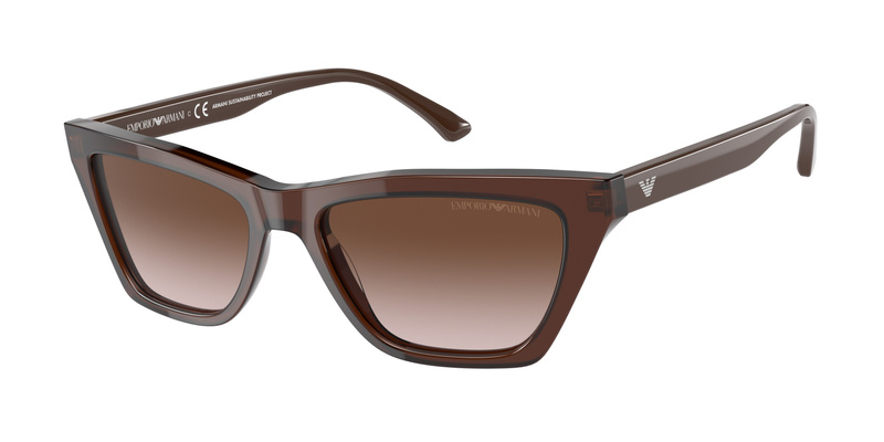 Okulary EMPORIO ARMANI EA4169-591013. Okulary przeciwsłoneczne, Kolor brązowy. Kobieta.