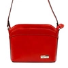czerwony || Red
