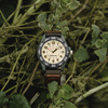 ZEGAREK MĘSKI TIMEX Expedition Acadia Rugged  TW4B26500  (zt161b) + BOX
