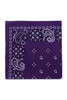 Bandana Metropolitan