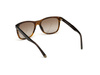 Okulary WEB EYEWEAR WE0279-5652G. Okulary przeciwsłoneczne, Kolor brązowy. Mężczyzna.