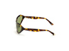 Okulary WEB EYEWEAR WE0288-6052N. Okulary przeciwsłoneczne, Kolor brązowy. Kobieta.