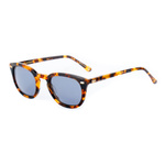 Okulary BELSTAFF GRASMERE-S176. Okulary przeciwsłoneczne, Kolor brązowy. Unisex.