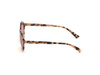 Okulary WEB EYEWEAR WE0266-5155S. Okulary przeciwsłoneczne, Kolor brązowy. Kobieta.