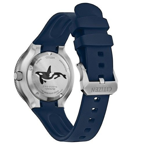 Zegarek CITIZEN BN0231-01L. Słoneczny, Kolor niebieski. Mężczyzna.