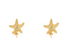 Biżuteria LANCASTER JLA-EAR-STAR6. PENDING, Kolor złoty. Kobieta.