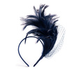 Fascynator Ereb
