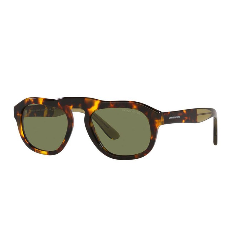 Okulary GIORGIO ARMANI AR8173-50922A. Okulary przeciwsłoneczne, Kolor brązowy. Mężczyzna.