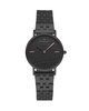 Zegarek RADIANT RA527204. Kwarcowy, Kolor GUN METAL. Kobieta.