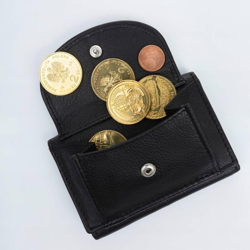 Skórzany męski portfel Rovicky R-21-LFN