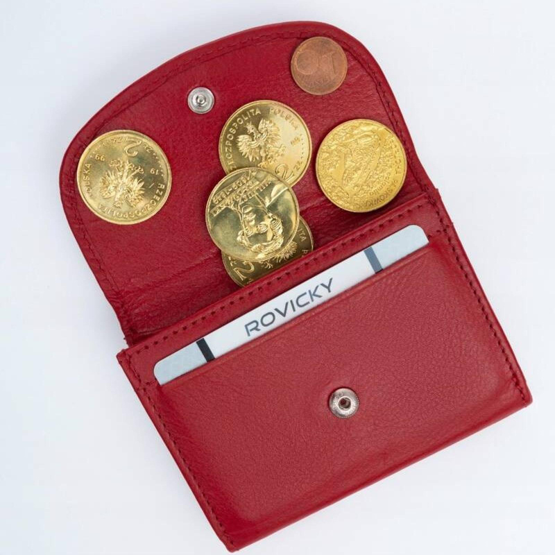 Skórzany męski portfel Rovicky R-19-LFN