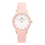 Damski zegarek DANIEL WELLINGTON DW00100532