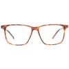 Okulary HACKETT HEB18110056. Okulary, Kolor brązowy. Mężczyzna.