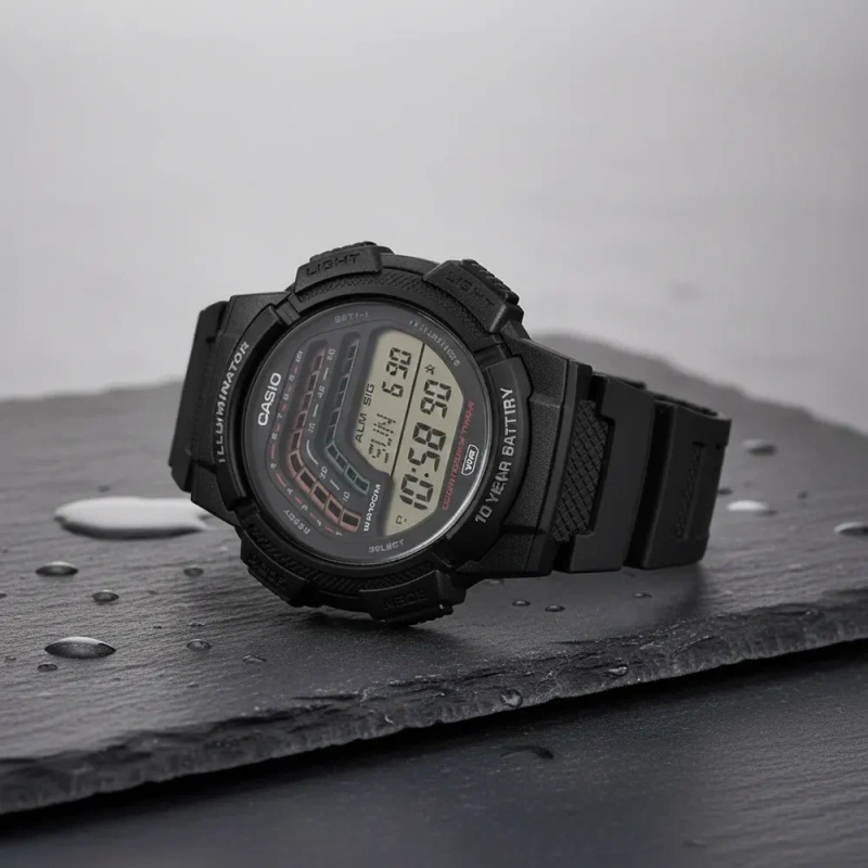 ZEGAREK MĘSKI CASIO WS-1800-1AVDF + BOX