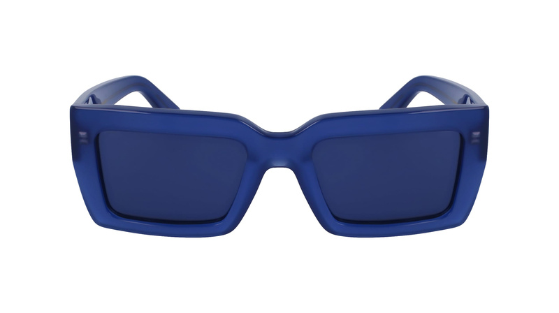 Okulary FERRAGAMO SF1108S542142. Okulary przeciwsłoneczne, Kolor niebieski. Kobieta.