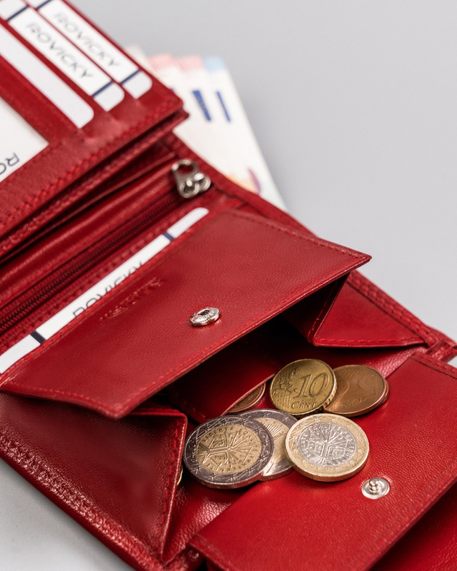 Zgrabna Skórzana damska portmonetka Rovicky RFID
