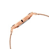 ZEGAREK DAMSKI DANIEL WELLINGTON DW00100346 - Petite Evergold 36mm