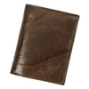 ciemny brąz || Dark Brown