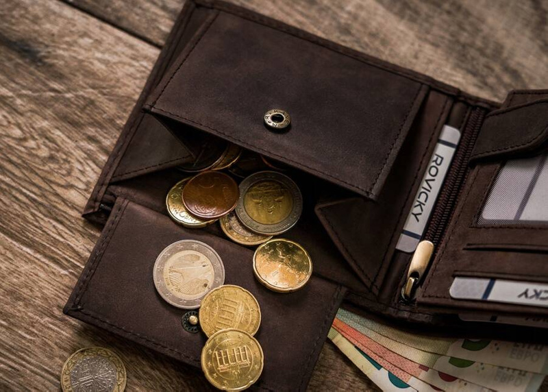 Skórzany męski portfel Wild ANIMALS N992-CHM-DOG-2