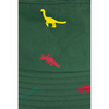Kapelusz Dino Bucket