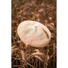 Beret Ester