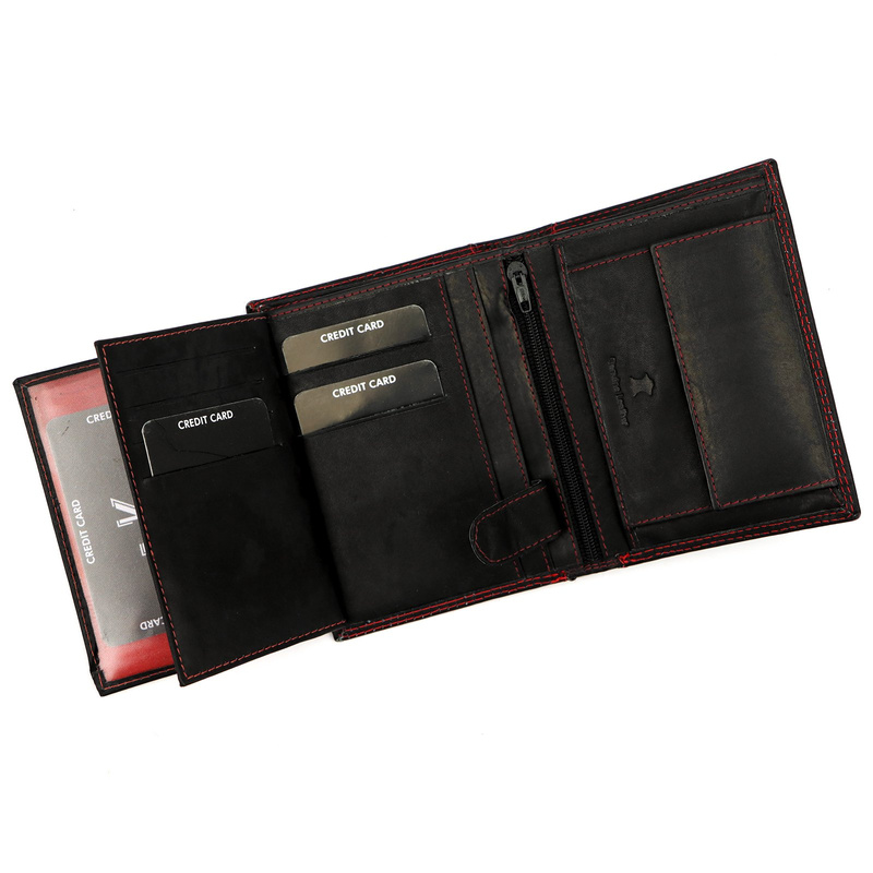 Skórzany męski portfel Money Kepper CDD 5601 EAGLE