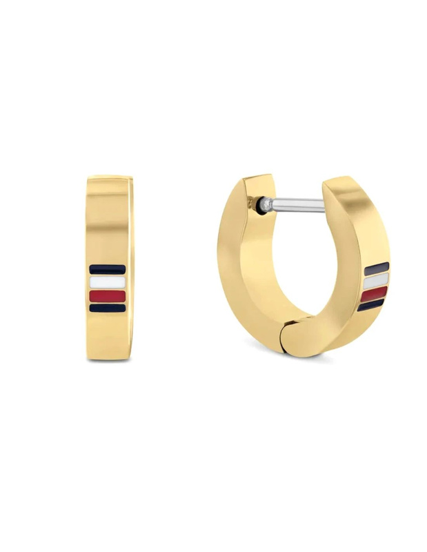 Biżuteria TOMMY HILFIGER 2790586. Kolczyki, Kolor złoty. Unisex.