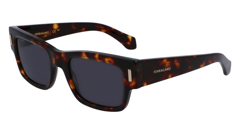 Okulary FERRAGAMO SF2011S-242. Okulary przeciwsłoneczne, Kolor brązowy. Mężczyzna.