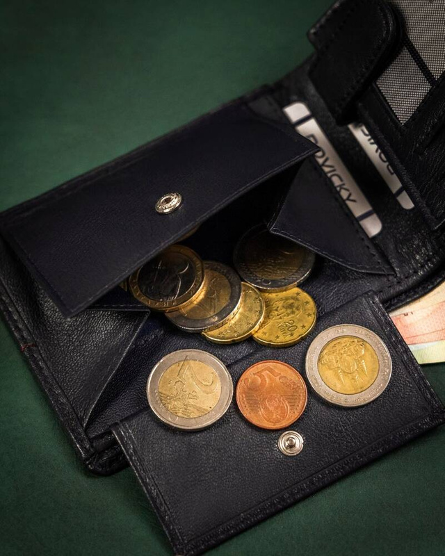 Rozbudowany zgrabny męski portfel skórzany Rovicky
