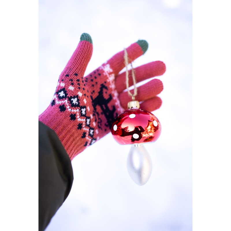 Rękawiczki Winter Deer