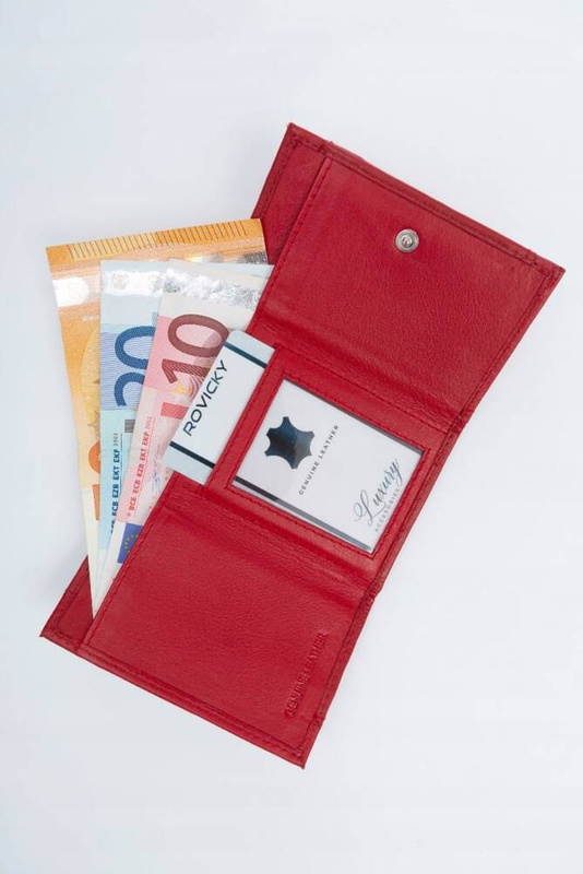 Skórzany męski portfel Rovicky R-21-LFN